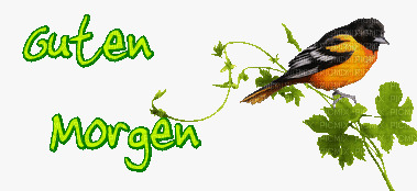 Bild 35